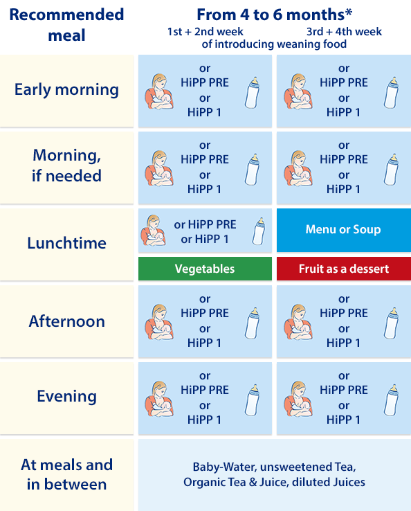 A recommended meal schedule for a baby aged 4 to 6 months, detailing feeding times and options.