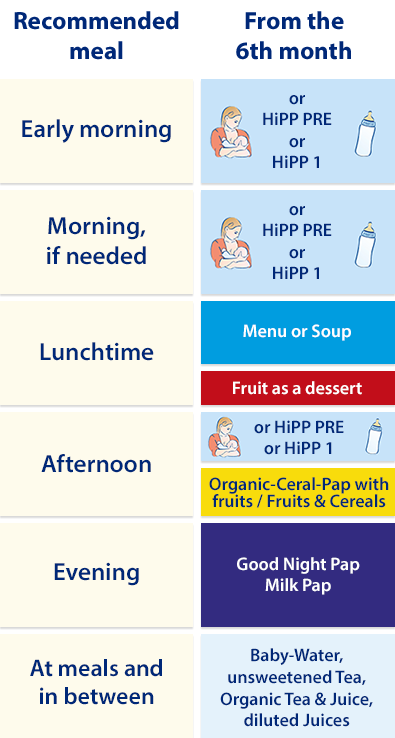 A recommended meal schedule for a baby from the 6th month, detailing various meals and snacks throughout the day.