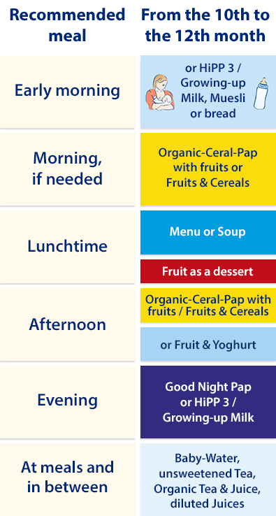 A recommended meal schedule for a baby from the 10th to the 12th month.