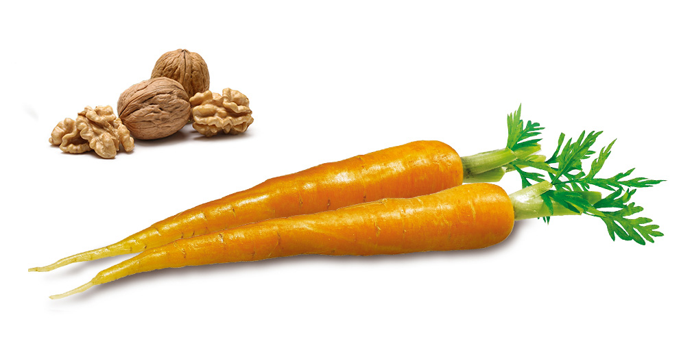Carrots and walnuts.